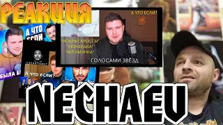 Реакция на NECHAEV №1