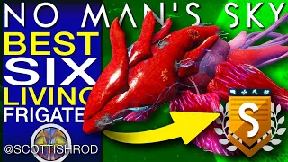 The Best Six S-Class Living Frigate Trade Industrial Combat... No Man's Sky Update NMS Scottish Rod