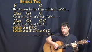 Fields of Gold (Sting) Strum Guitar Cover Lesson in Am with Chords/Lyrics