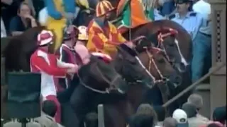 Palio Di Sienna