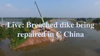 Live: Aerial view of breached dike being repaired in C China