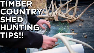 Find SHEDS In TIMBER!  |  Big Timber Country Shed Hunting TIPS