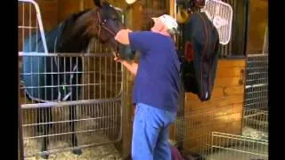 2007 Hambletonian Steve Elliot Feature