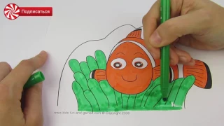 РЫБКА НЕМО , РАСКРАСКА , nemo fish , coloring page , coloring book, Конфетки ТВ - мультики для детей