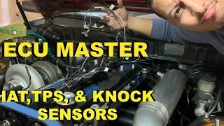 MK3 SUPRA CUSTOM ECU MASTER ENGINE HARNESS PART 4 ( IAT, TPS, AND BOSCH KNOCK SENSORS )