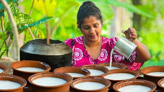 creamy buffalo milk|i make best thick curd in traditional way@Villagekitchensrilanka83