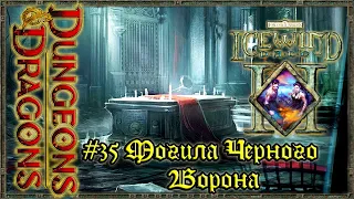 Icewind Dale 2 - #35 Могила Черного Ворона