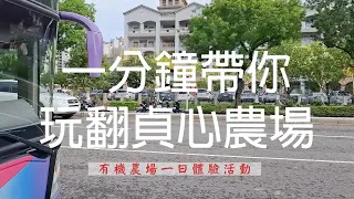 一分鐘帶你玩翻貞心農場