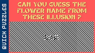 Guess the Word from these Illusions | Part 2 | Eye Test Puzzles | Quick Puzzles