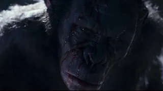 Koba’s Screen Time - War for the planet of the apes