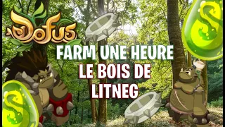 [DOFUS] Farm UNE HEURE le Bois de Litneg ( Plaines de Cania ) #9