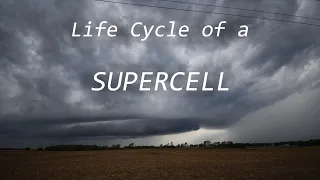 Life Cycle of a Supercell