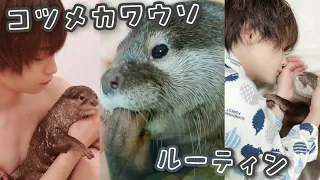 コツメカワウソの１日ルーティンに密着！~Otter routine~