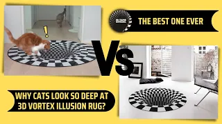 Cat's reaction VS 3D vortex illusion rug #catsfunnyvideos #catshorts #catsareawesome