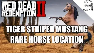 Rare Tiger Striped Mustang Location! Red Dead Redemption 2 Horse Guide.