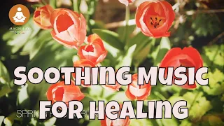 Spring Serenity: Soothing Music For Healing, Studying, And Relaxation To Beat Anxiety, Magnilay,