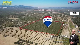 Remax Zeytin 3 - Manisa Akhisar'da Satılık 20 Dönüm Zeytinlik ve Çiftlik Ev