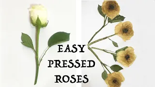 How to Easy Pressed Roses