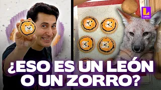 León o Zorrito run run: Peláez se burló de galletas de Machuca en El Gran Chef Famosos