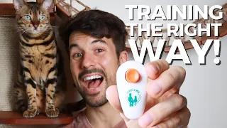 Do You Need a CLICKER to Train a Cat? - DON'T BUY until you watch this
