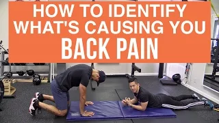 How to identify what's causing your back pain