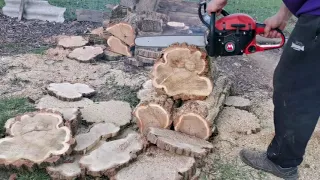 STIHL ms 260, 50,2 cm3 are 3,5 cp și MARUIAMA MCV 5100s, 50 cm3 are 3,8 cp.