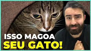 15 Coisas Que Machucam EMOCIONALMENTE Seu Gato!