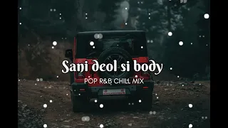 sani deol si body || slowed & reverb song||