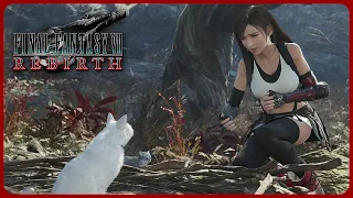 Tifa reunites with her cat Fluffy - Final Fantasy 7 Rebirth