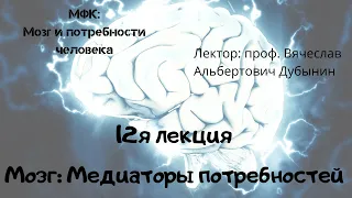 12я лекция Мозг  Медиаторы потребностей Вячеслав Дубынин