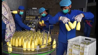 Afghanistan milk factory faces challenges (Pre-intermediate level English B1)