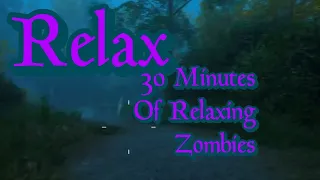 Relax with 30 Minutes of Soothing Sounds and Gruesome Zombie Carnage | ASMR Sleep Sounds