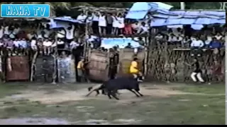 Funny Videos HD NEW Best Funny Fails Compilation 2014   Funny Home Videos