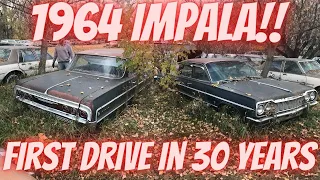 Saved from the salvage yard! 1964 Chevy Impala! Off the road for 28 years! Will it run?!?