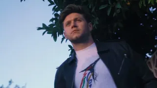 Niall Horan - Dear Patience (Official Visualizer)