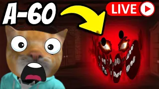 🔴ROBLOX DOORS HUNT FOR A-60 [LIVE]!