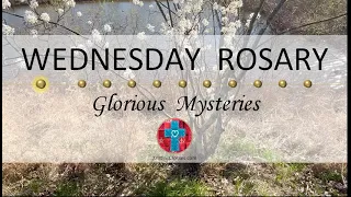 Wednesday Rosary • Glorious Mysteries of the Rosary ❤️ April 24, 2024 VIRTUAL ROSARY -MEDITATION
