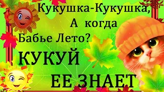 ЮМОР.Осень холод!Кукушка -Кукушка,а когда Бабье лето? КУКУЙ ее знает!Улыбнись!