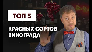 Топ-5 [КРАСНЫХ СОРТОВ ВИНОГРАДА]