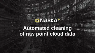 Naska.AI Clean Point Cloud