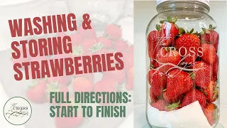 How to Wash and Store Fresh Strawberries (From Start to Finish)!  |  Live with Amy Cross