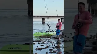 Shark almost bit my hand at San Luis Pass