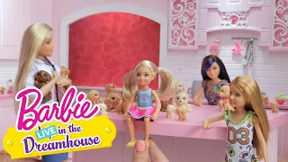 Plethora of Puppies | Barbie LIVE! In the Dreamhouse | @Barbie