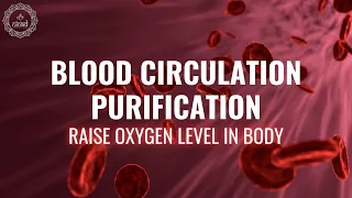 Blood Circulation Purification | Raise Oxygen Level in Body | Increase Blood Flow Music | 528 Hz