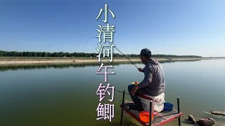 野钓小清河，把鱼口打兴奋了，鲫鱼抢着吃！