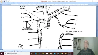 Respiratory Module 20 ( Intercostal veins), by Dr. Wahdan