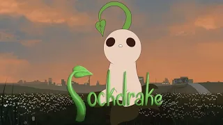Sockdrake || Animated Short Film