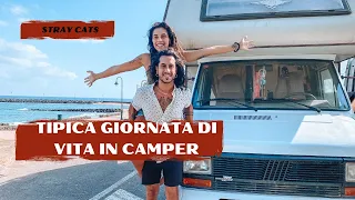 Tipica giornata di VITA in CAMPER - Stray Cats - vita in camper full time.