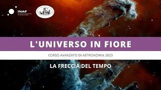 Universo in fiore - corso avanzato 2023 | 4 aprile