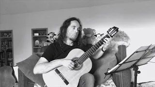 Francisco Tárrega Malagueña for Guitar